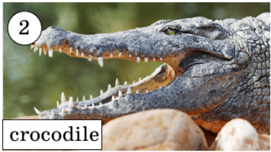 Задание рисунок 2